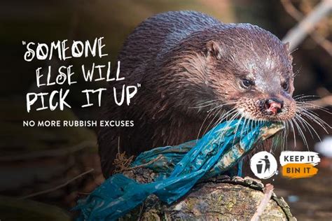 Fly Tipping And Reckless Littering