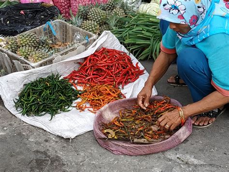 Harga Sayuran Ini Di Pasar Tradisional Masih Tinggi Bernas Id