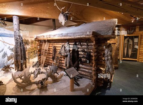 Display Of A Fur Trappers Cabin At The George Johnston Museum On The