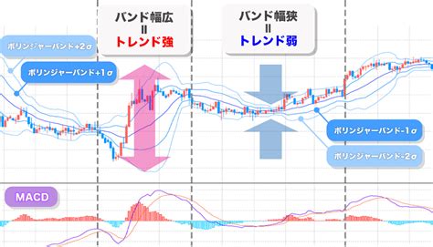 Macdとは？特徴・使い方を基礎から応用まで徹底解説 みんかぶ（マガジン）