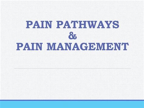 Pain and pain pathways | PPT