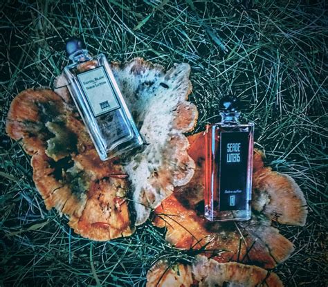 Ambre Sultan Serge Lutens άρωμα - ένα άρωμα για γυναίκες και άνδρες 2000