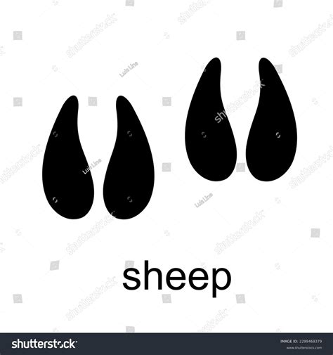 Sheep Footprints