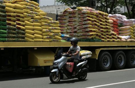 Million Metric Tons Of Palay Harvest Seen To Stabilize Rice Prices