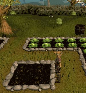 Master farmer outfit - The RuneScape Wiki