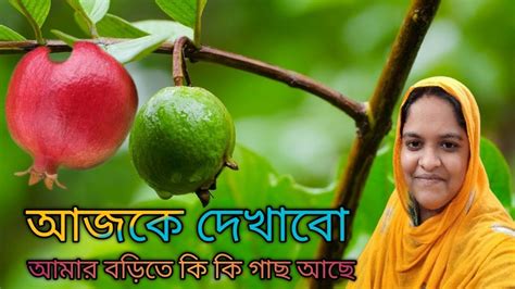 আজকে দেখাবো আমার বাড়িতে কি কি গাছ আছে এবং আজকে কি কি করলাম Home