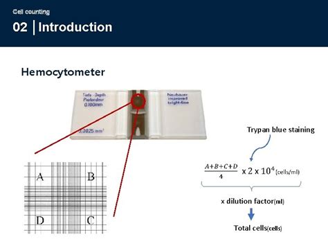 Mammalian Cell Culture Cell Counting 02 Introduction Hemocytometer