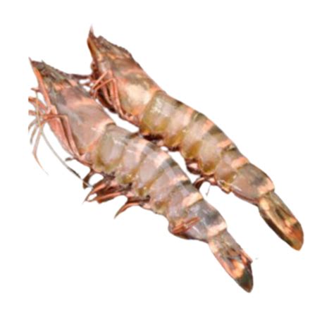 Prawns From Malaysia Sampan Bay