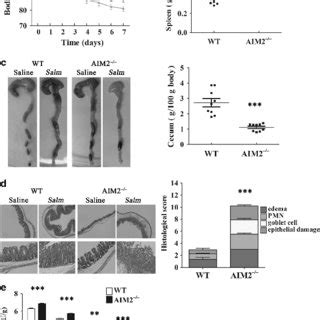 Absent In Melanoma 2 AIM2 Deficiency Leads To Increased Intestinal