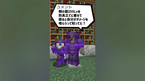 【マイクラ】棘の鎧255lvを防具立てに着せて殴ると自分がダメージを喰らうって本当？【検証】shorts Youtube