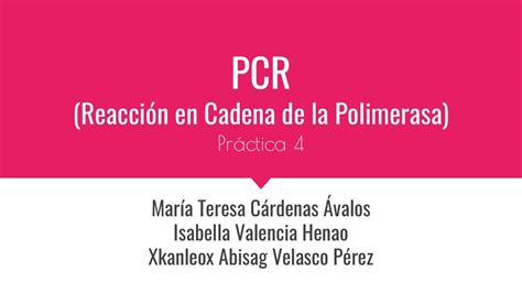 Práctica 4 Pcr Reacción En Cadena De La Polimerasa Maritere Cárdenas