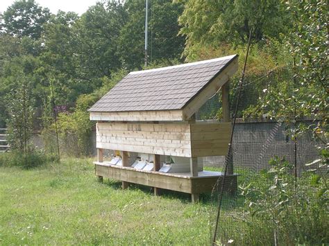 Bees Bee Keeping Bee House Backyard Bee