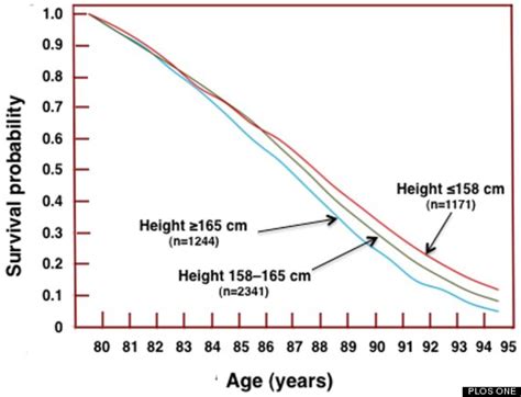 Short You Just Might Live Longer Huffpost