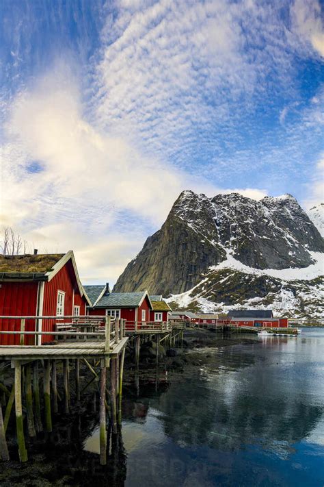 Stelzenhäuser mit Grasdach im kleinen Hafen von Reine, Lofoten-Inseln ...