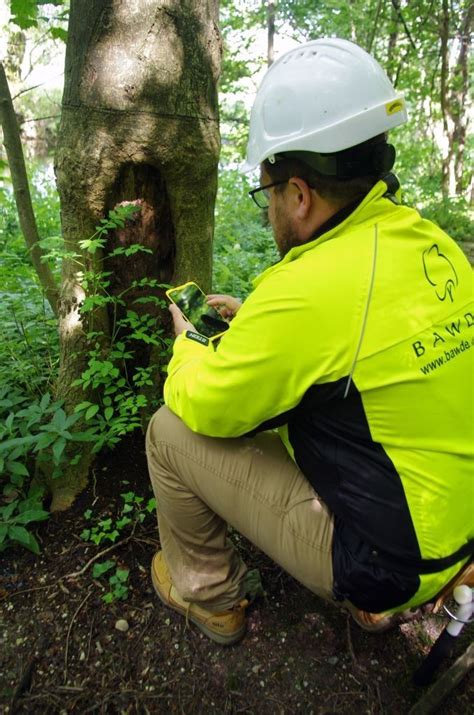 Tree Survey Technology Bawden Tree Care