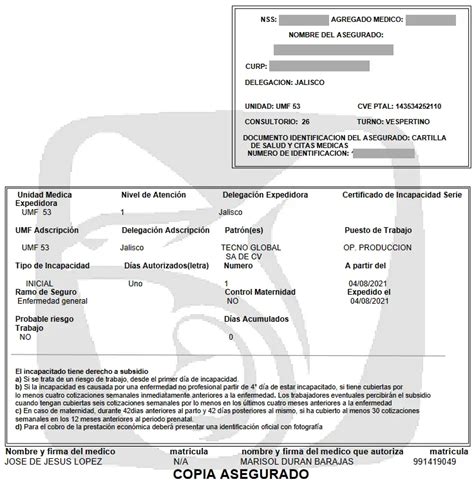 Formato Incapacidad Imss Editable Ejemplos En Word Y Pdf