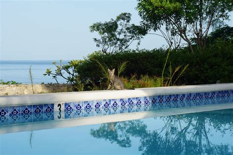 Bluefields Bay Villas Jamaica Resort Review - The Travel Women