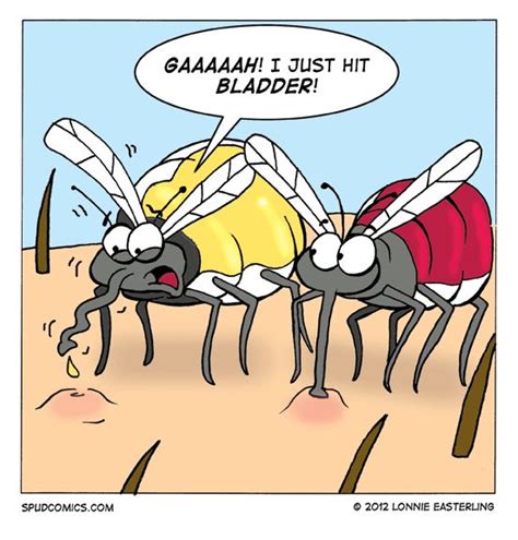 86 Best Silly Mosquito Jokes Images On Pinterest