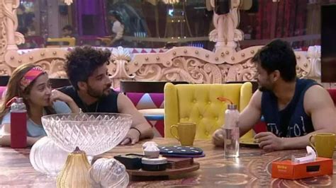 Bigg Boss 16 October 12 Written Update Shalin Bhanot Confesses His