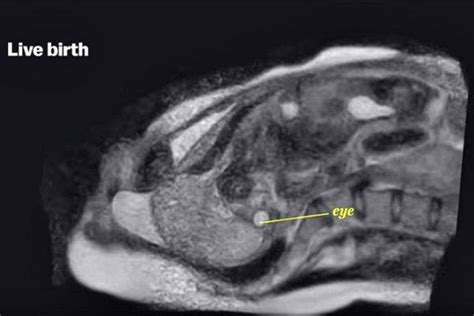 Crazaaay This Is What You Look Like When You Have Sex Yourtango