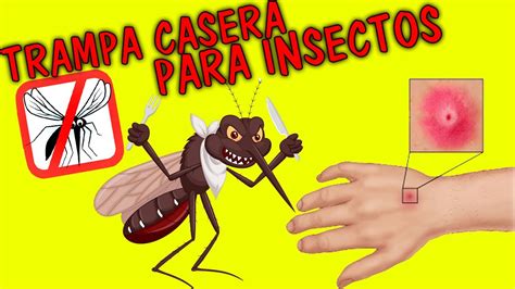 Trampa Para Mosquitos Y Otros Insectos Casera Y Efectiva Youtube