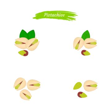 Set Of Pistachios Nuts Vector Illustration Pistachios Pistachios Nut