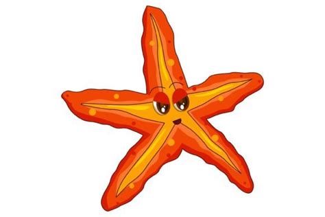 Cute Starfish Character Illustration Graphic By Arsalangraphic999