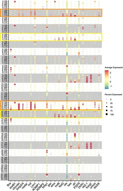 Figure 3 From A Single Cell RNA Seq Analysis Of Brachyury Expressing