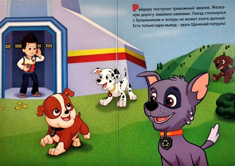 Книга 'Рокки и Крепыш', из серии 'Щенячий патруль' (Paw Patrol), Проф ...