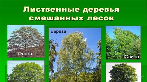 Презентация на тему: "СКЕЛЕТ Скелет и мышцы СПАСИБО, доченька ...