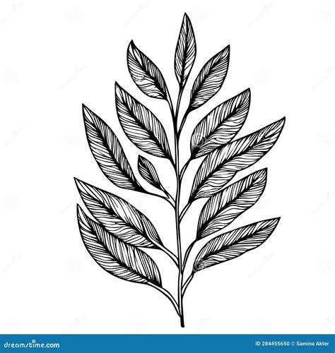 Botanical Designs, Tattoo Botanical Designs, Linework Botanical Tattoos