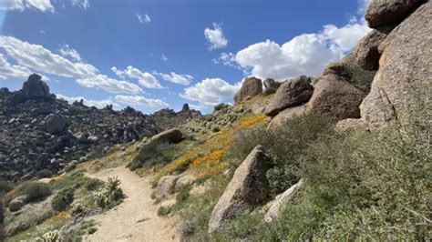 10 Best Hikes and Trails in McDowell Sonoran Preserve | AllTrails