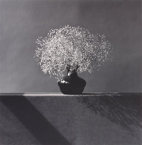 Robert Mapplethorpe Flowers