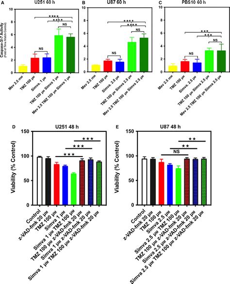 Combination Of Simva Tmz Induces Caspase Activations In Gbm Cells