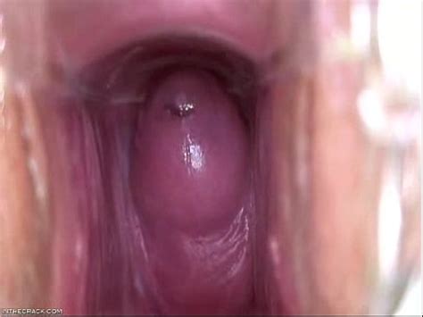 Echa Vistazo Al Interior XVIDEOS