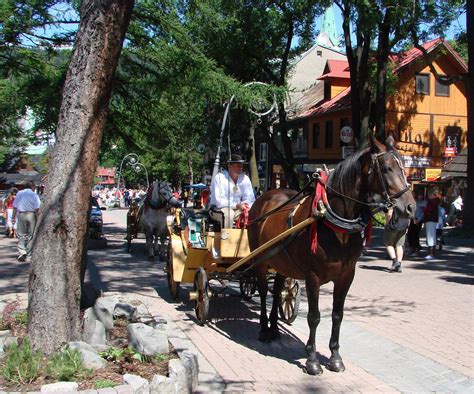 Parking w Zakopanem Gdzie najlepiej zaparkować samochód Ile kosztuje