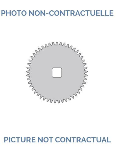 ratchet wheel