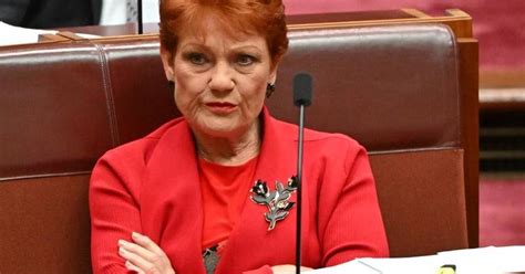 Human Rights Body To Probe Hanson Tweet Illawarra Mercury