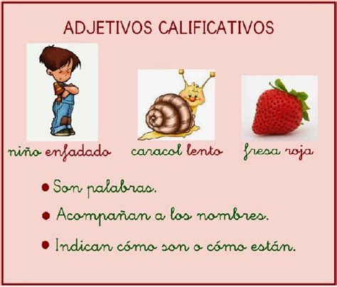 Ejemplos De Adjetivos Calificativos Themeloader