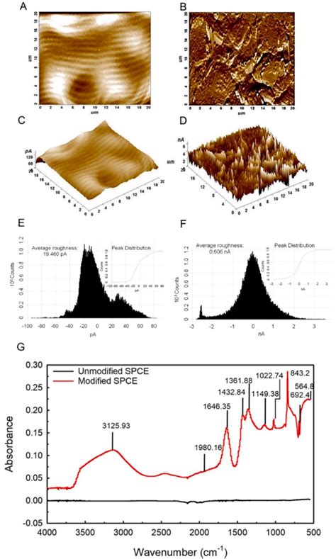 Afm Surface Topography Scan Of A Unmodified And B Modified