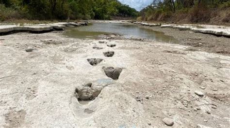 La sécheresse laisse apparaître des traces de dinosaures dans le lit d