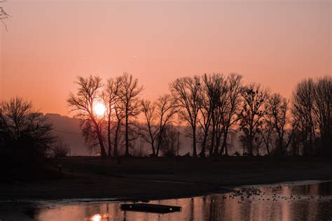 Image Libre Lever Du Soleil Cr Puscule Au Bord Du Lac Silhouette