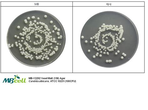 Yeast Malt Ym Agar