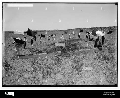 Grasshopper Swarms Dust Bowl