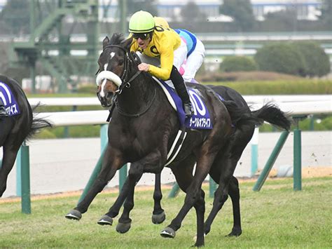 【3歳次走】サークルオブライフはチューリップ賞から桜花賞へ 他有力馬情報 競馬ニュース