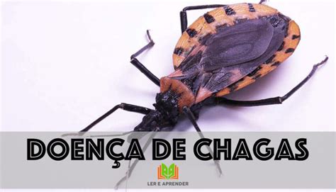 Doen A De Chagas O Que Transmiss O Sintomas Tratamento