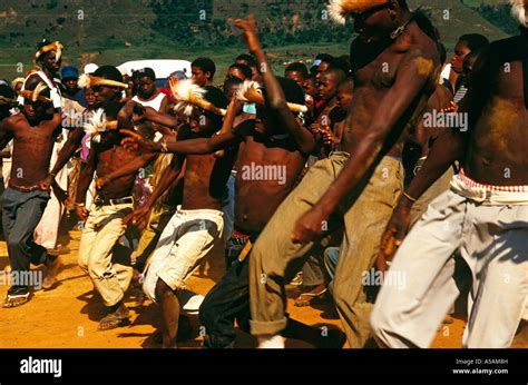 Indlamu dance hi-res stock photography and images - Alamy