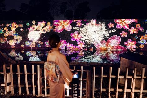 NAKED meets 二条城 桜で特別なお花見体験を ここと滋賀京都のローカルメディア