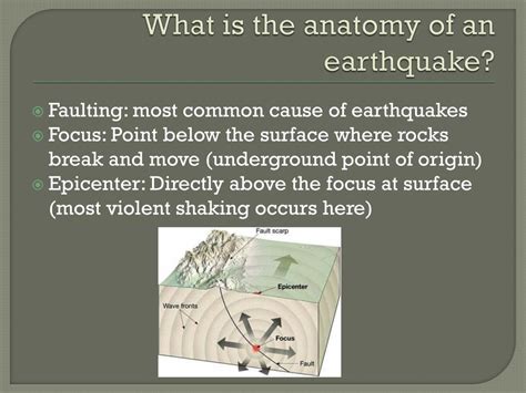 Earthquake Anatomy