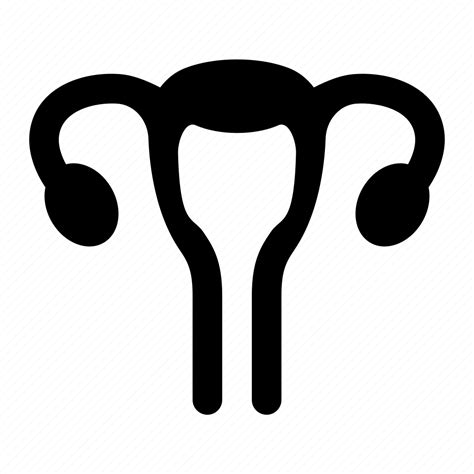 Eggs Female Organ Reproductive Uterus Vagina Icon Download On Iconfinder